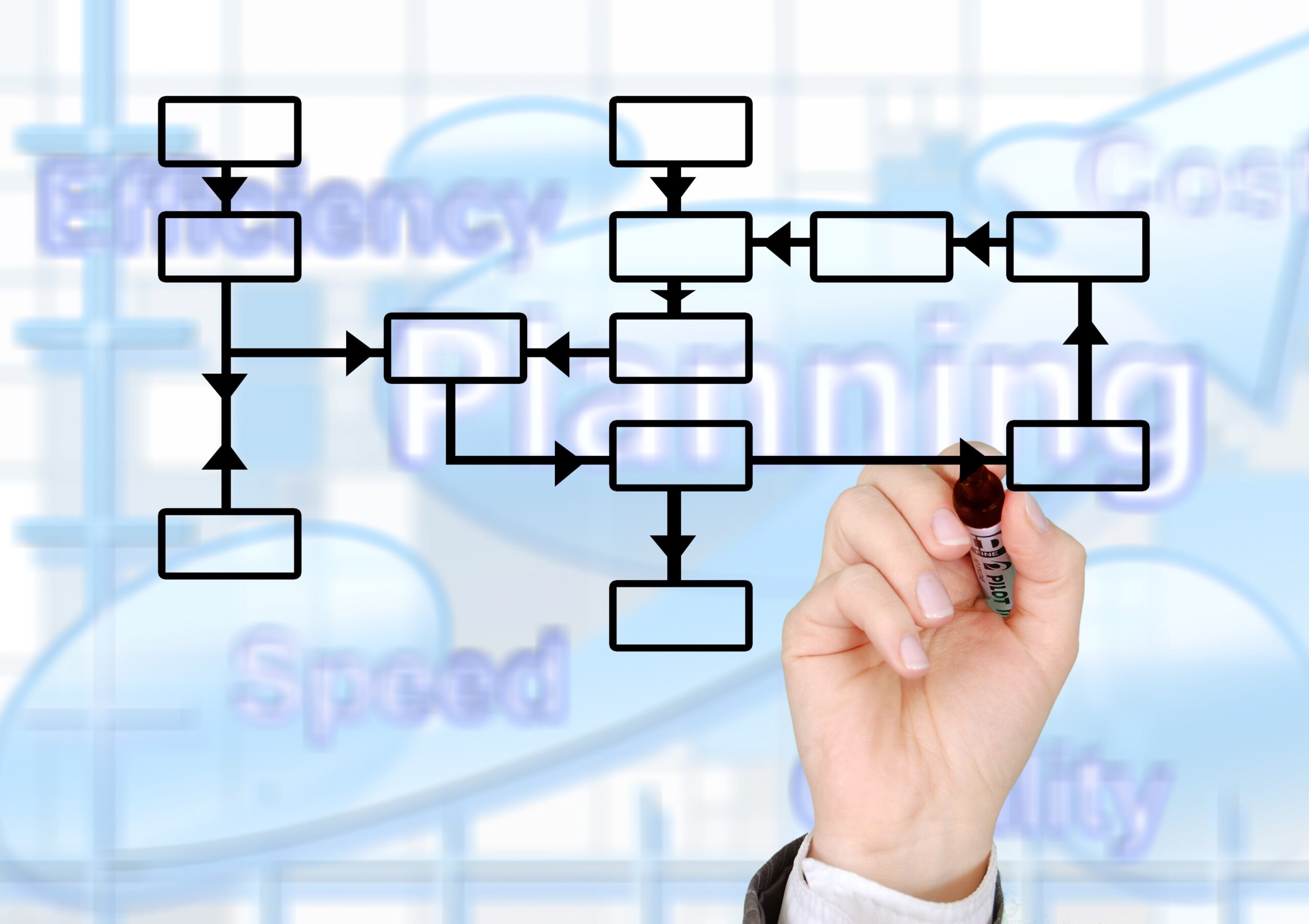 SEO Process